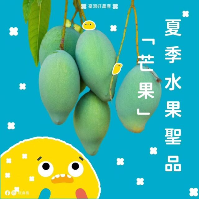 夏天芒果季到啦！大家有沒有口水直流呢？🥭😋
今天我們要分享一些有趣的芒果小知識，讓你更了解這個熱帶水果的迷人之處！

你知道台灣早期最常見的芒果是什麼嗎？
就是「土芒果」啦！它們常出現在百年老樹或路邊的小樹上
土芒果的外觀雖然比較小、果肉纖維粗糙，
但醃漬過後的土芒果吃起來酸甜可口、香氣濃郁，酸甜的滋味就像是戀愛的滋味，讓許多人回味無窮，這正是大家所稱的「情人果」。

還有一個常見的問題：
有些人說皮膚過敏不能吃芒果，這是真的嗎？
其實造成芒果皮膚炎的過敏原並不包含果肉，只要去掉芒果皮，或者戴手套剝皮後再吃，就可以避免問題。
當然，還是要根據個人身體狀況來判斷。

讓我們一起追隨夏日的芒果香氣，探索這個多汁、香甜的水果帶給我們的新奇體驗吧！🥭✨

如果你想知道更多芒果的有趣小知識，或者有什麼新奇的問題想問，就在下方留言告訴我們吧！
也別忘了關注我們的FB＆IG粉專「玩食島」，享受更多有關蔬果的小知識。