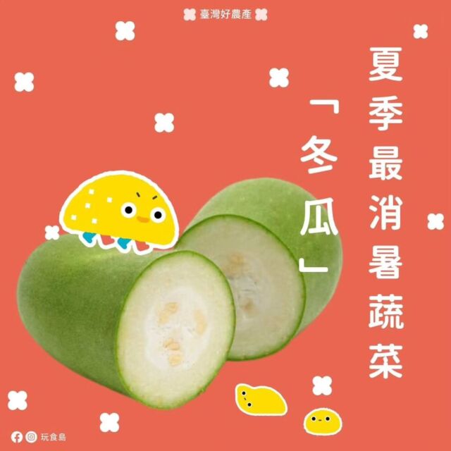【冬瓜 小知識來囉！】🍈🌾

你有看過一根藤上長出好幾顆冬瓜的熱鬧場面嗎？

冬瓜在農場中最愛鬥熱鬧，常常成群結隊一起生長！

還有一個特別的是它們擁有厚實的綠色果皮，不僅充滿元氣，還是防曬達人喔！
冬瓜善於利用果皮厚度阻止光線進入，展現隱形大師的本領，讓你猜不透它的年齡！

冬瓜不僅價格實惠，還是營養的寶庫！
他們含有豐富的維生素C和鈣，有助於提升免疫力和骨骼健康。

更厲害的是，冬瓜可是冷藏高手！收成的冬瓜可以在陰涼乾燥處保存好幾週，成為農場裡的小保鮮達人！

而且，它是料理的全能小天使！不管是湯品還是炒菜，冬瓜都能為各種料理增添豐富風味喔！

別小看這綠瓜，它還是經濟作物之一！
冬瓜的果實、葉子和花都能運用，不但可以當食材，還有藥用價值，真是個多才多藝的瓜果！

在這裡感謝農夫們辛勤耕耘，讓我們品嚐這可愛的冬瓜！
希望這些小知識讓你更了解這特別的瓜果，充滿對農場的好奇！👩‍🌾👨‍🌾🍈✨